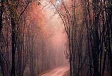 蓝调华尔兹风夜昕-开云平台